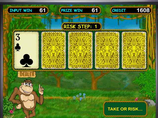 Риск-игра в слоте Crazy Monkey 
